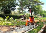 Penataan Kawasan Unggulan di Kelapa Gading Barat Capai 70 Persen