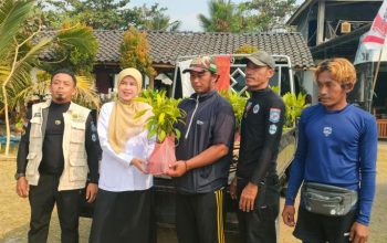 Komunitas Penggiat Konservasi Nyelam Sukabumi (PENYU) Terima Ratusan Bibit Mangrove dari Diskan Sukabumi