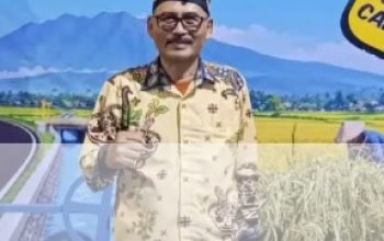 Pameran Sukabumi Expo 2026: Dinas PU Suguhkan Transparansi Infrastruktur Lewat Tagline “Jalan Leucir, Caang Ngalir”