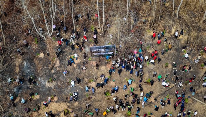 Pascakebakaran Hutan di Tahura Bukit Soeharto, Otorita IKN dan Borneo Kind Tanam 1.000 Bibit Pohon